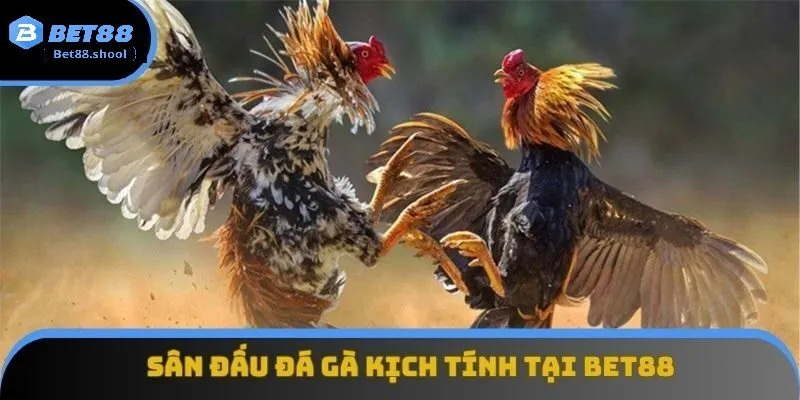 Đá gà Bet88 - Thế giới cuồng nhiệt đỉnh cao giải trí cá cược 